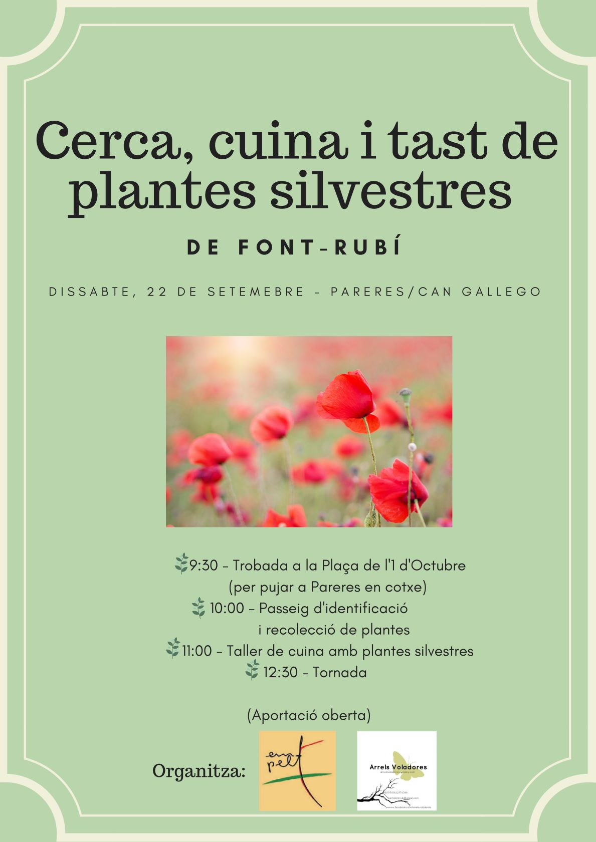 Taller Plantes Silvestres