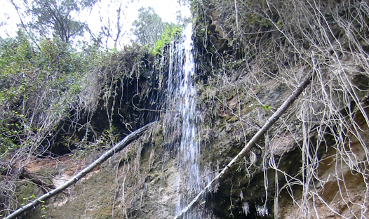Salt del Torrent de les Obagues