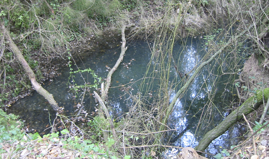 Salt del Torrent de les Obagues