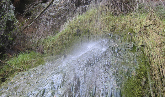 Salt del Torrent de les Obagues