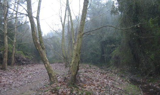 Salt del Torrent de les Obagues