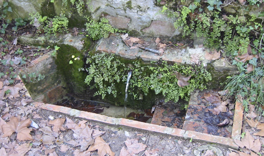 La Font del Roure o de Cal CerdÃ 