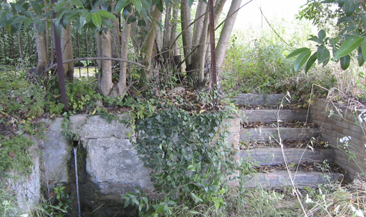 Font de Baix els Horts