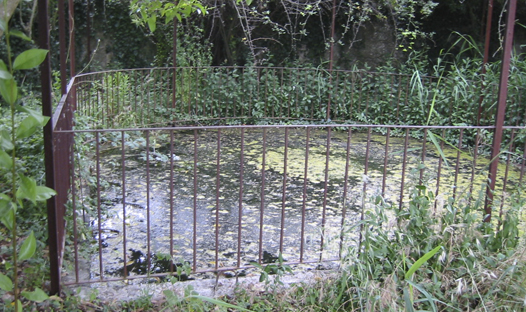 Font de Baix els Horts