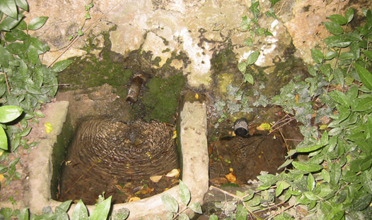 Font de Baix els Horts