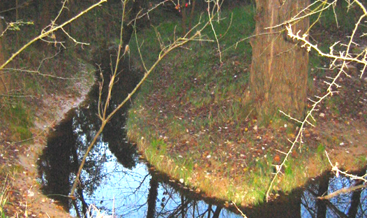 Font del Fanga o dels caÃ§adors