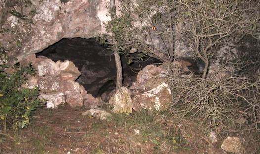 Cova de Cal Manel