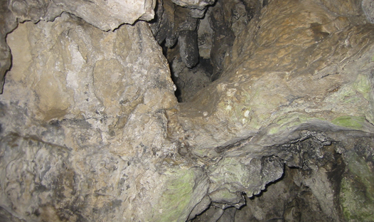 Cova del ToixÃ³ o de l'Hort del Sort