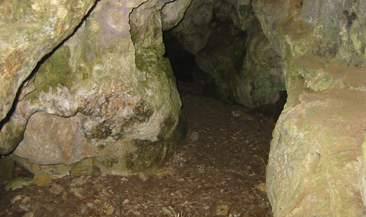 Cova del ToixÃ³ o de l'Hort del Sort