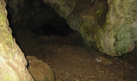 Cova del ToixÃ³ o de l'Hort del Sort