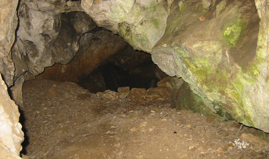 Cova del ToixÃ³ o de l'Hort del Sort