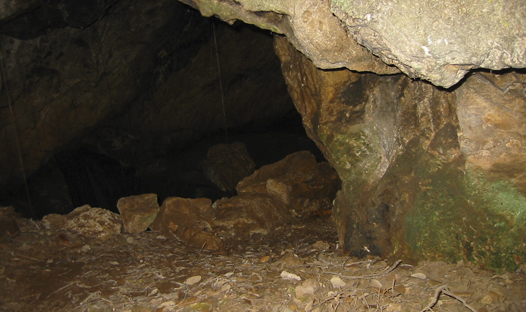Cova del ToixÃ³ o de l'Hort del Sort