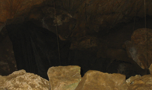Cova del ToixÃ³ o de l'Hort del Sort