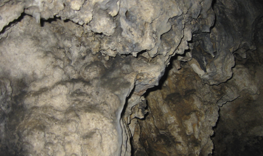 Cova del ToixÃ³ o de l'Hort del Sort